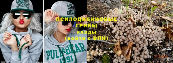 МДПВ Алексин