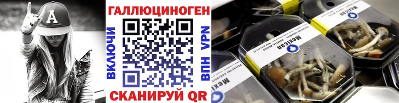 Псилоцибиновые грибы Psilocybe  купить наркотик  Суровикино 